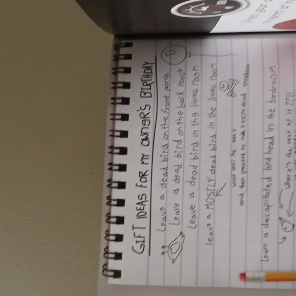 How to tell if your cat is plotting to kill you - Picture 5 of 12